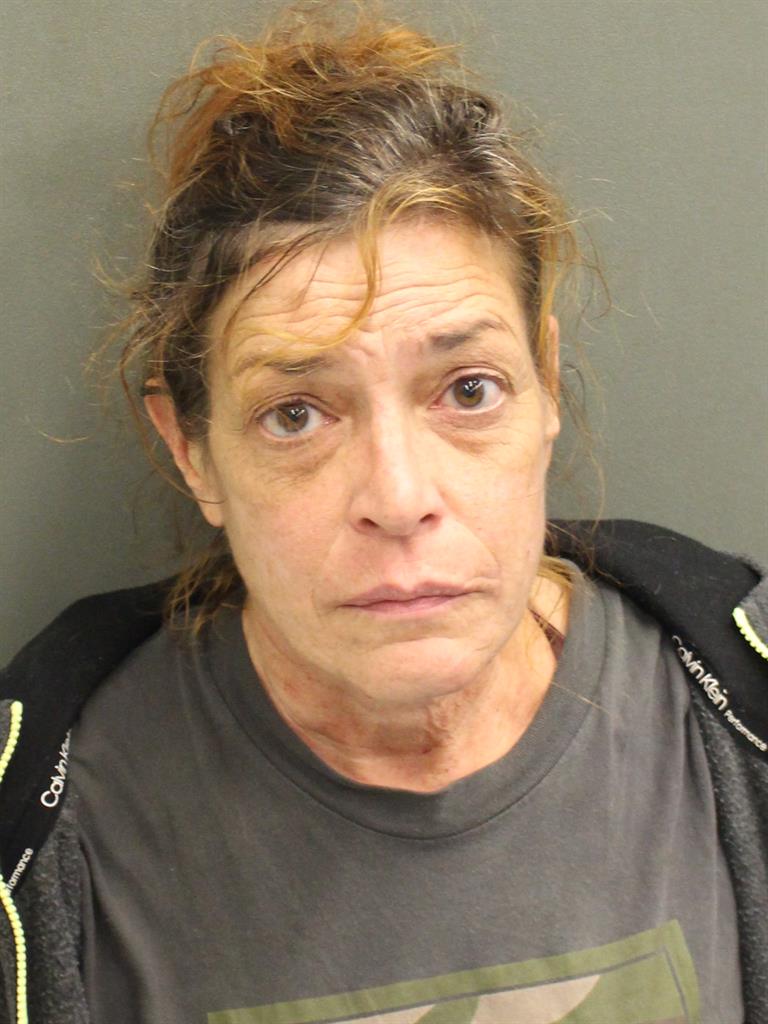  HEIDI M ALBRIGHT Mugshot / County Arrests / Orange County Arrests