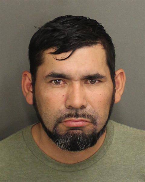  JOSE ALVARADO Mugshot / County Arrests / Orange County Arrests