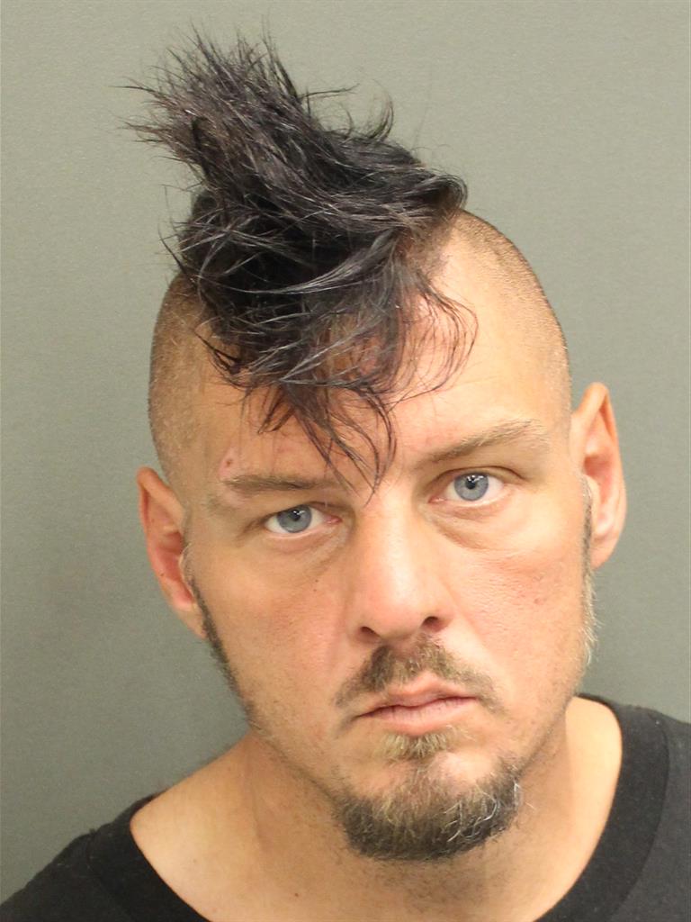  TROY ALAN LUOMA Mugshot / County Arrests / Orange County Arrests