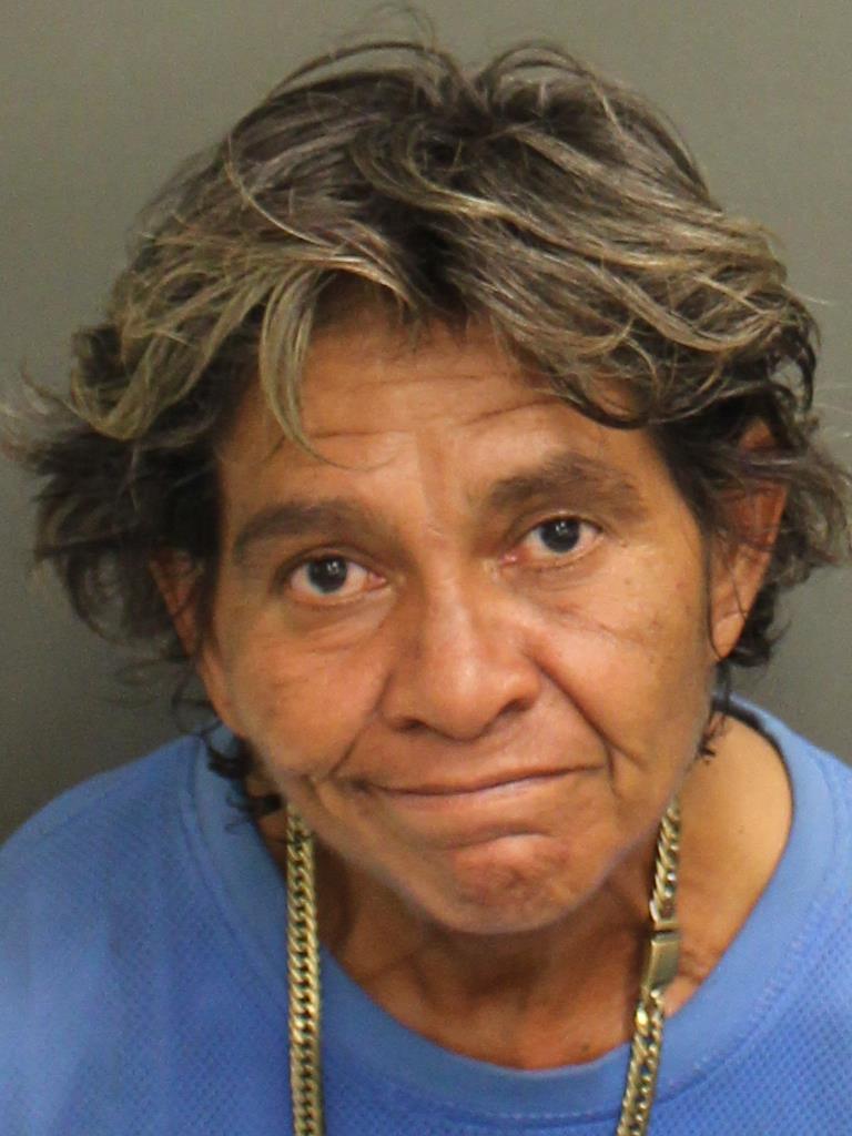  MARISOL VAZQUEZMORALES Mugshot / County Arrests / Orange County Arrests