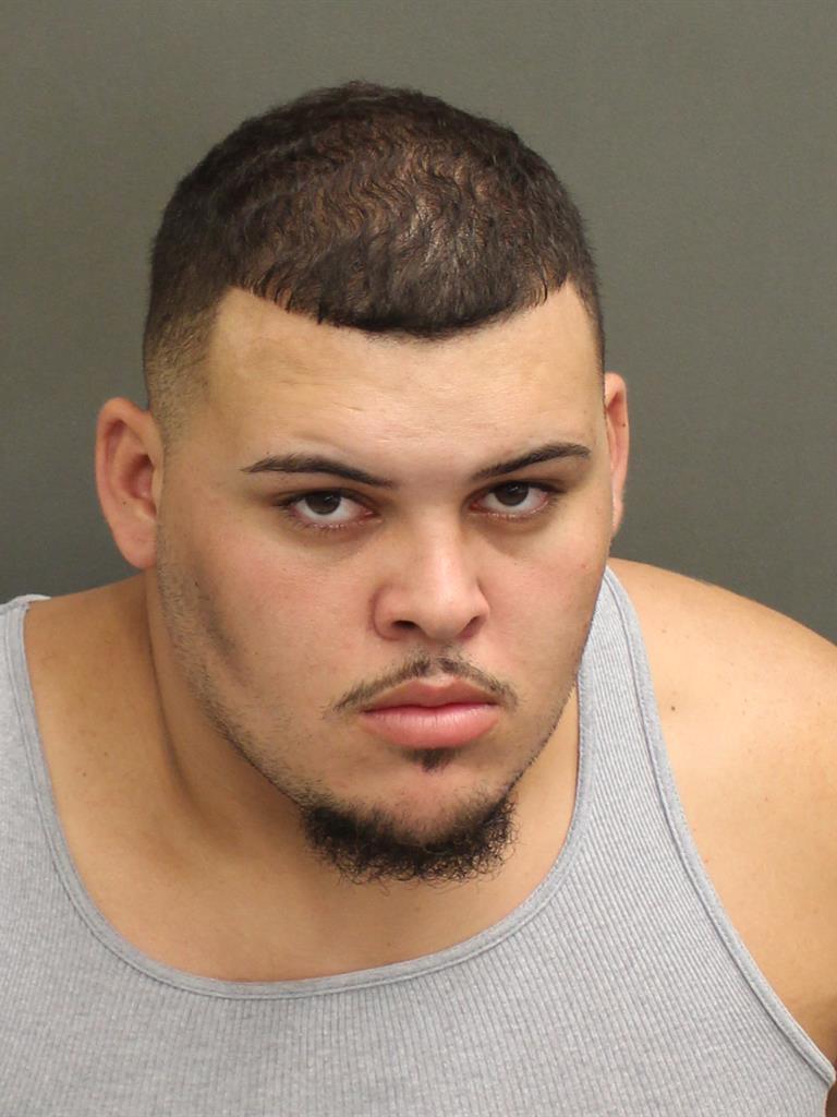  JULIO WILSON ROSA Mugshot / County Arrests / Orange County Arrests