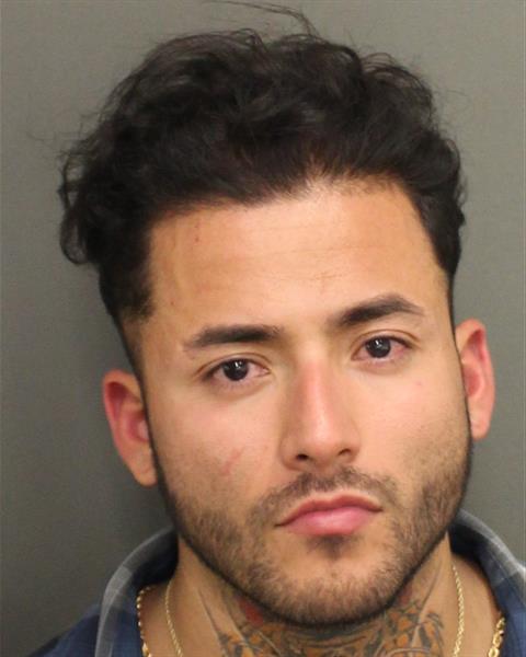  IRVING IVAN TEOS Mugshot / County Arrests / Orange County Arrests