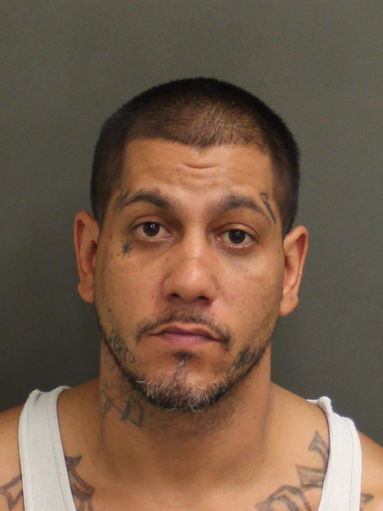  NICOLAUS GENEWILLIAM RICCI Photo Image