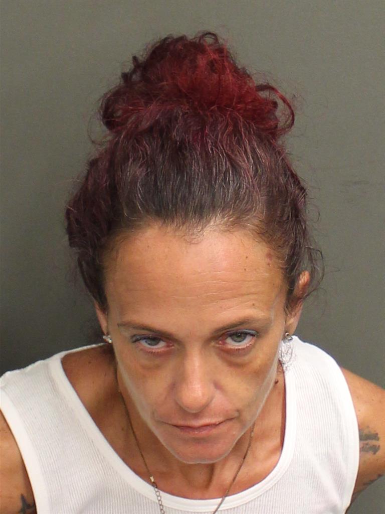  PATRICIA RUTH DEVNEW Mugshot / County Arrests / Orange County Arrests