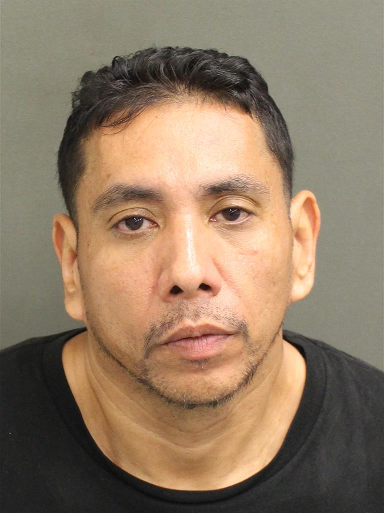  DAVID CUTIVA Photo Image