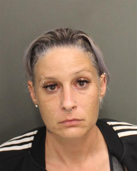  LAURA ELIZABETH SKOLODA Mugshot / County Arrests / Orange County Arrests