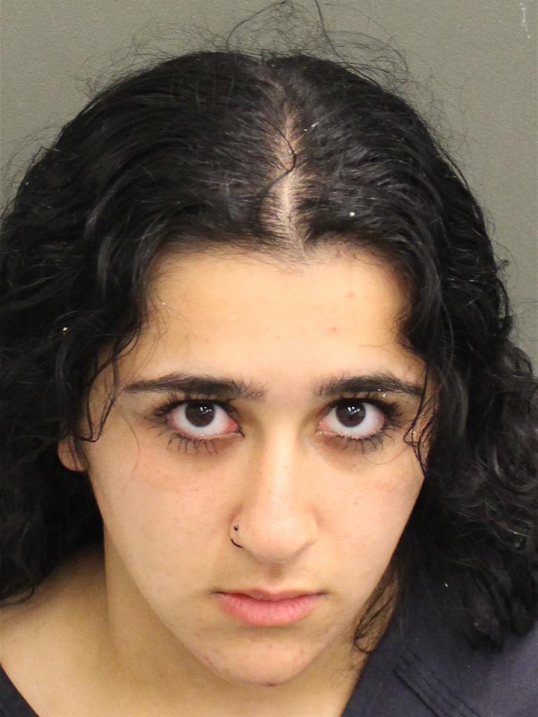  AUMER ABUJAROUR Mugshot / County Arrests / Orange County Arrests