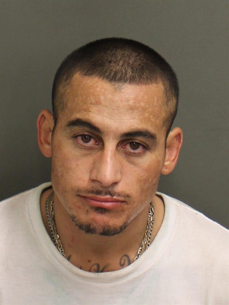  MICHAEL DOMINGO HERNANDEZ Photo Image