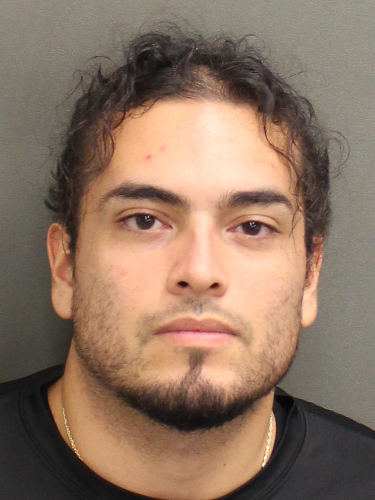  SEBASTIAN HORLIN FERNANDEZ Mugshot / County Arrests / Orange County Arrests