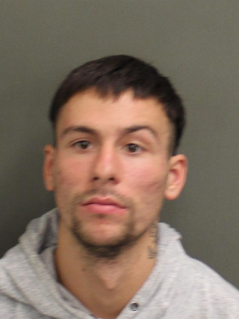  JAVIER JOHN BAGGOTT Mugshot / County Arrests / Orange County Arrests