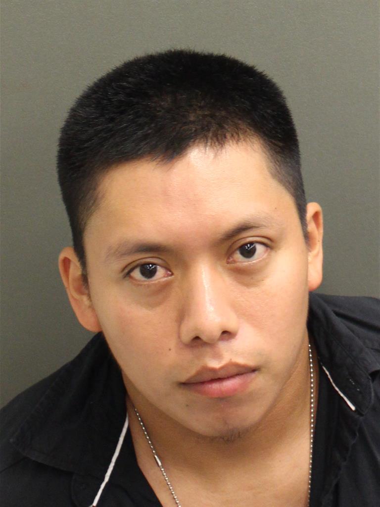  WALDEMAR NEHEMIAS ICOCHOX Mugshot / County Arrests / Orange County Arrests