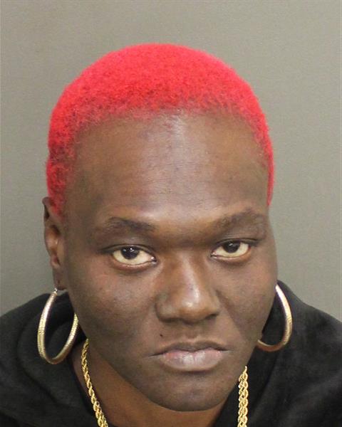  JANETTA LAVAUGHN HARRIS Mugshot / County Arrests / Orange County Arrests