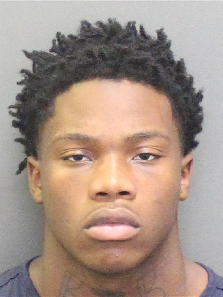  JAVARIE FILIUS Photo Image