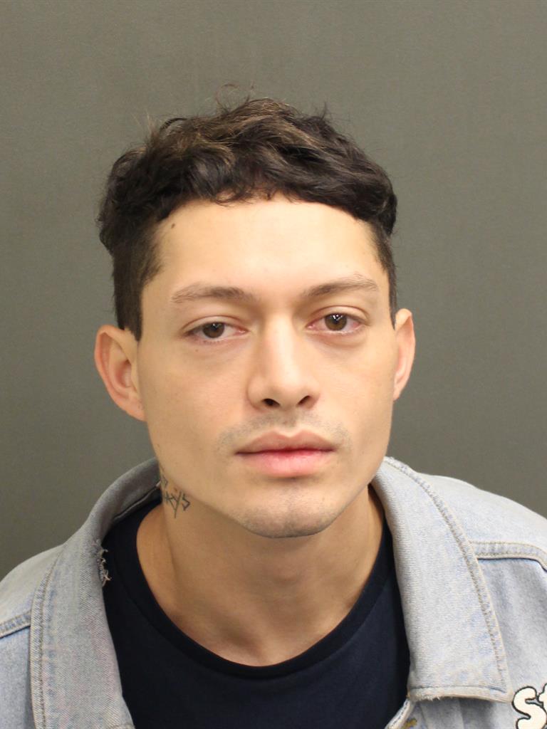  SHANE ALEXANDER ROBINSON Mugshot / County Arrests / Orange County Arrests