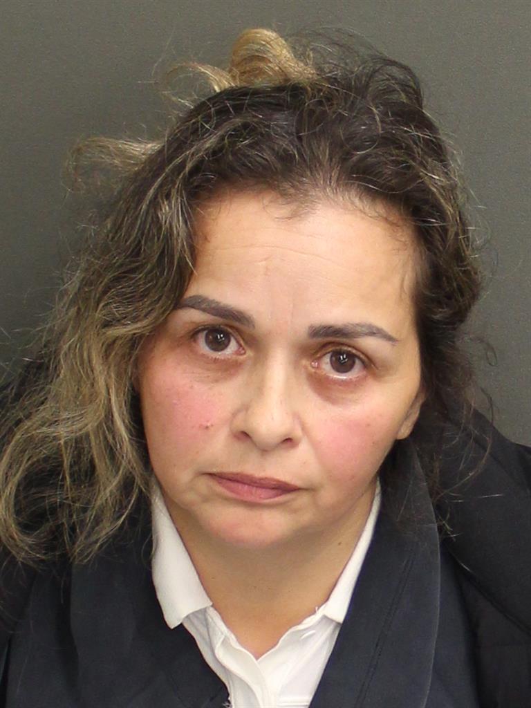  LUZ DARY HUERTAS Mugshot / County Arrests / Orange County Arrests