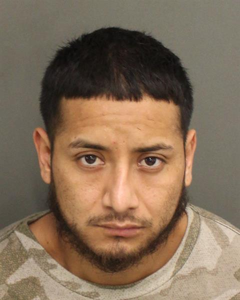  JOSE ISABEL SANCHEZ Photo Image