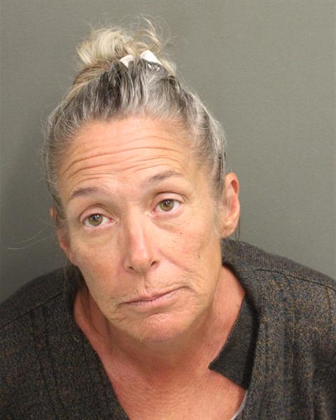  DEBBI ANNE RYAN Mugshot / County Arrests / Orange County Arrests