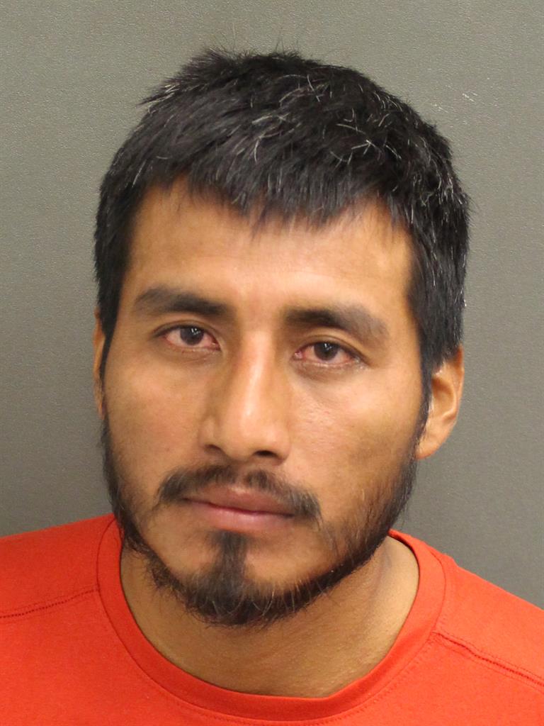  MAXIMO MUCUCHAMAN Photo Image