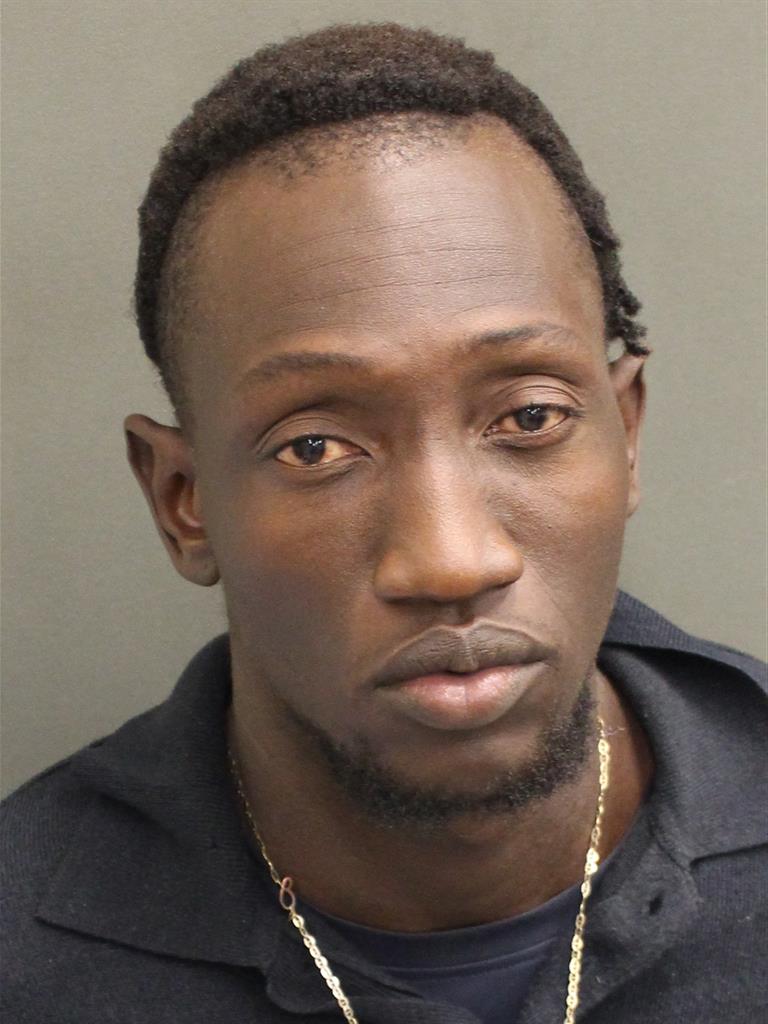  YVES ANGELO PATRI LUCIEN Mugshot / County Arrests / Orange County Arrests