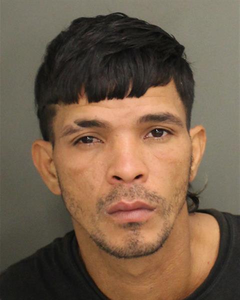  JESUS ALBERTO VILLARROELSALGADO Mugshot / County Arrests / Orange County Arrests