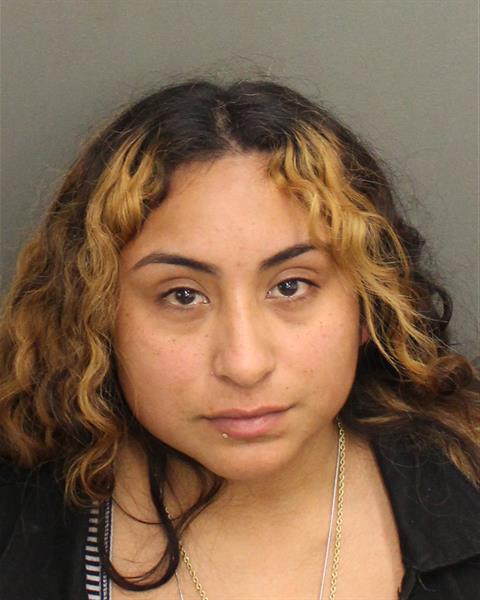  RAQUEL SOFIA PALACIOS Mugshot / County Arrests / Orange County Arrests