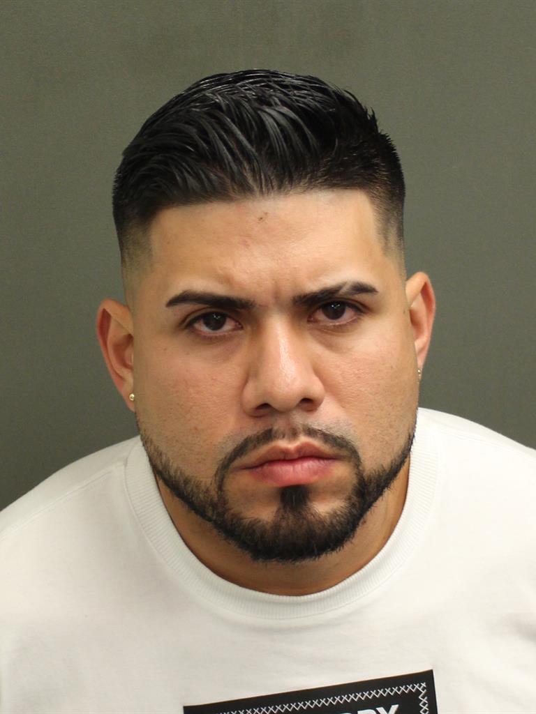  ARGENIS JOSE EREU CASTILLO Mugshot / County Arrests / Orange County Arrests