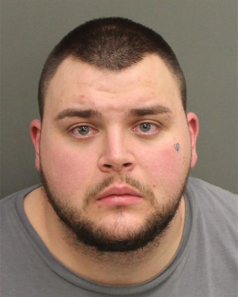  AARON FOX Photo Image