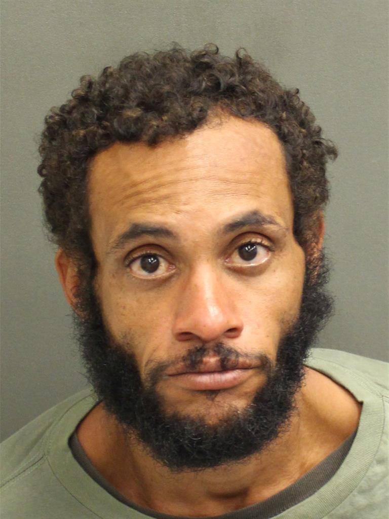  SEBASTIAN LUIS FERNANDEZ Mugshot / County Arrests / Orange County Arrests