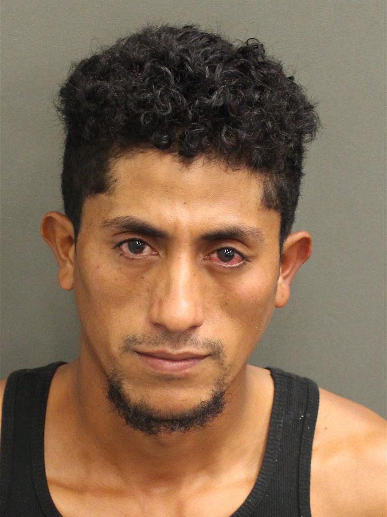  ADER HANIELGODOYTORRES Mugshot / County Arrests / Orange County Arrests