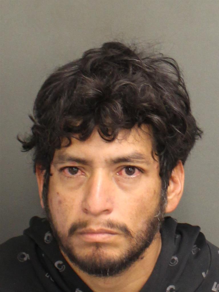  CARLOS EMILIO CARIAS Mugshot / County Arrests / Orange County Arrests