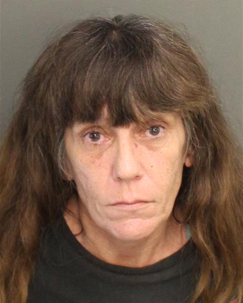  SUSAN ANN CAFFRO Mugshot / County Arrests / Orange County Arrests