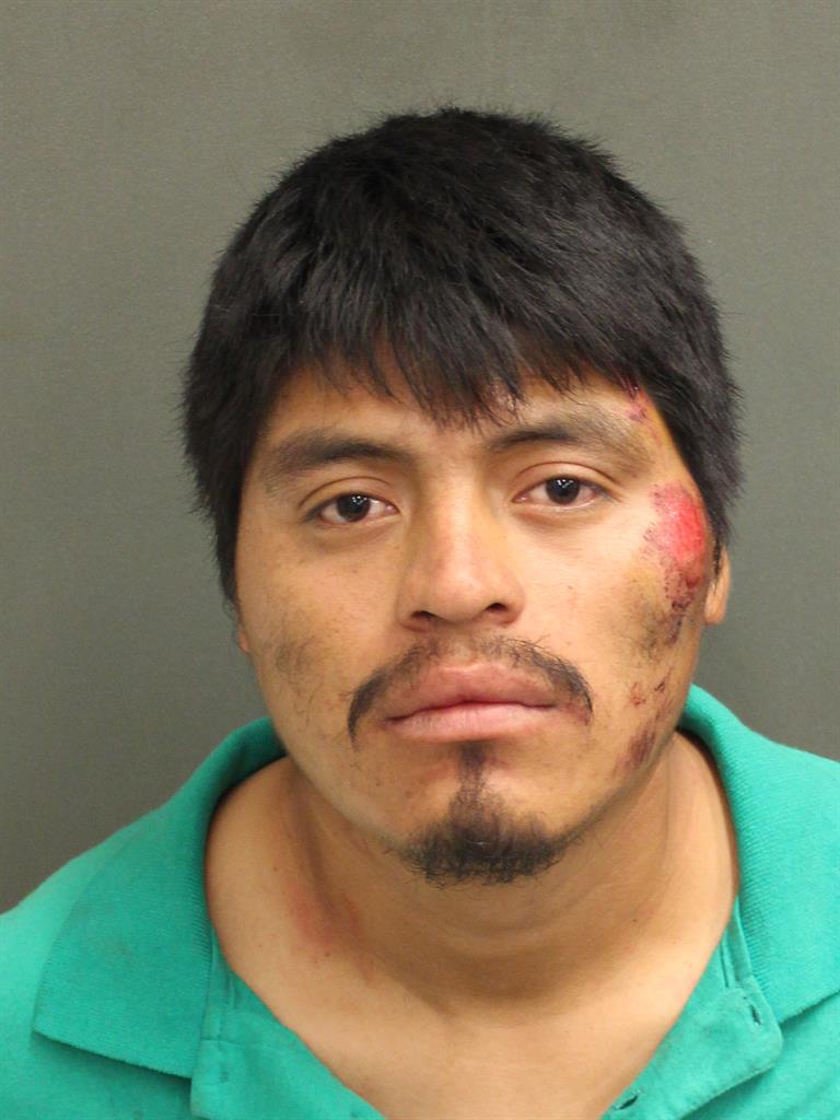  LEOBARDO RAMIREZVELASQUEZ Photo Image