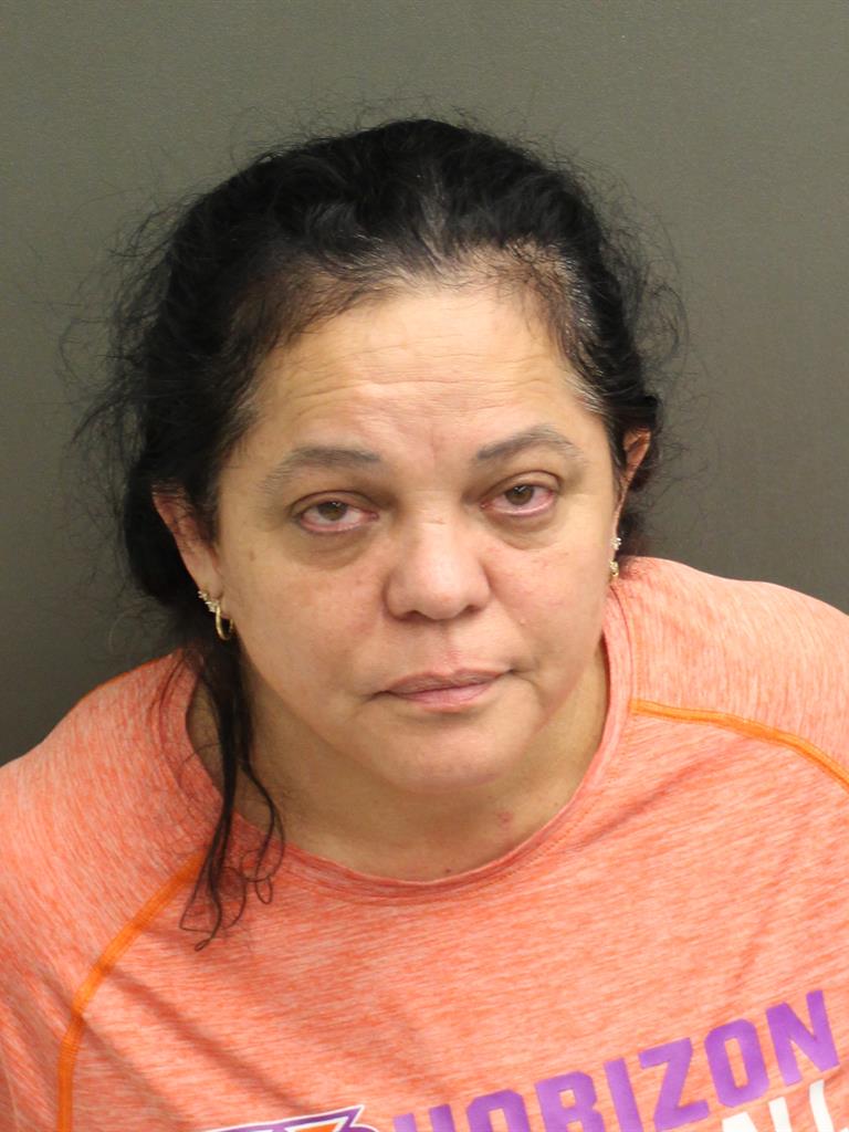  ZULIMAR RAQUEL ARIASARAULO Mugshot / County Arrests / Orange County Arrests