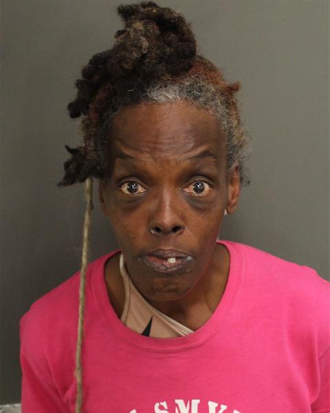  MICHELLE DENISE FORT Photo Image