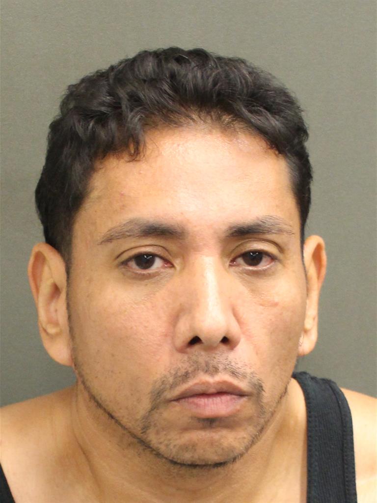  DAVID CUTIVA Photo Image