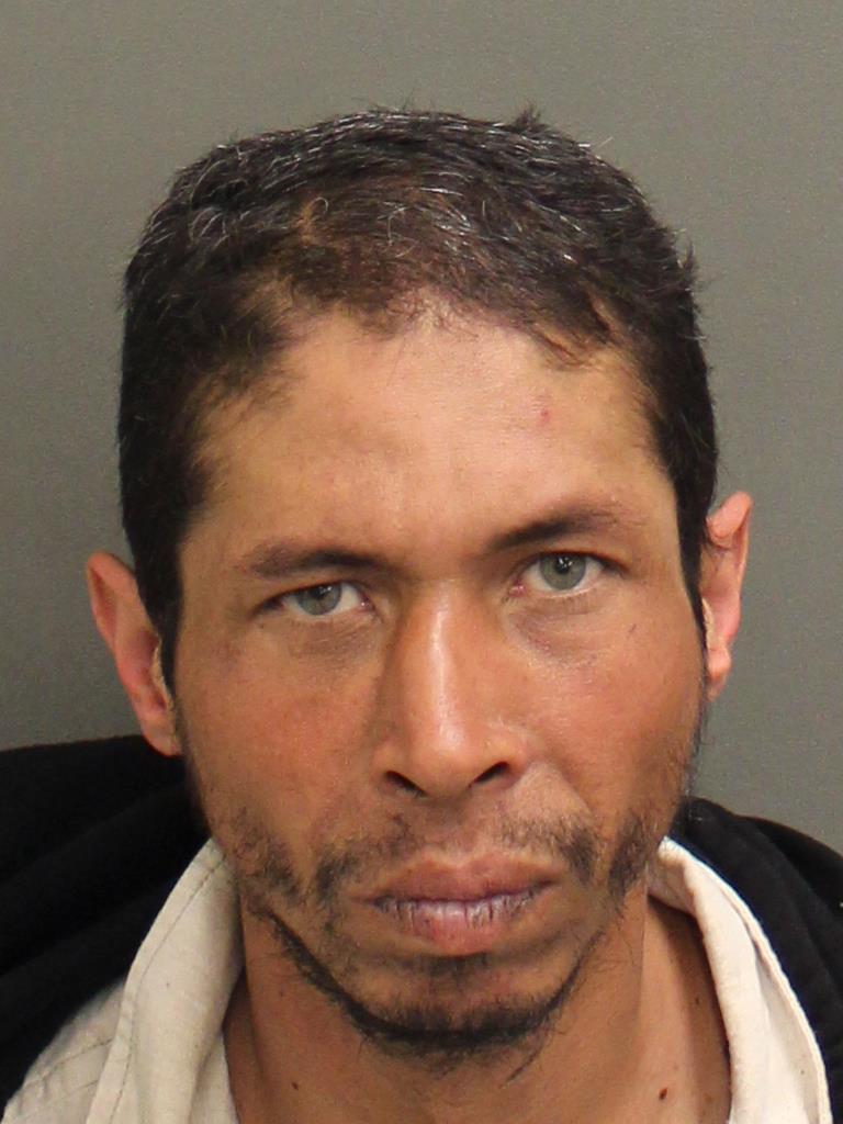  NEIL WAGNER ARCE Mugshot / County Arrests / Orange County Arrests