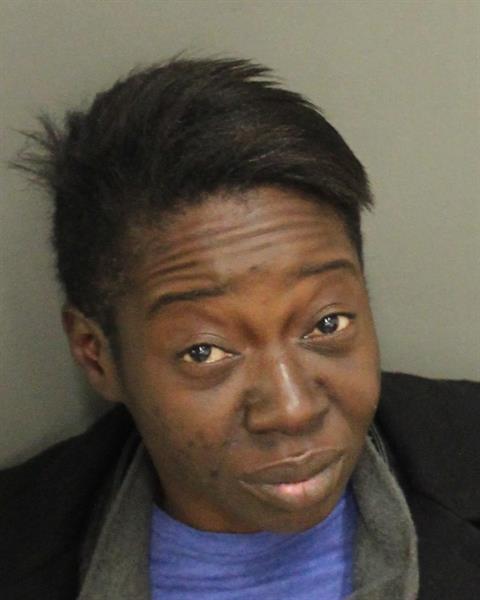  STEPHNINE JEAN MITCHELL Photo Image