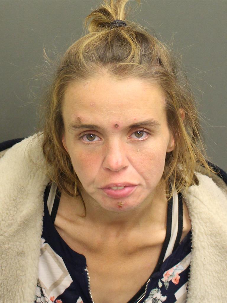  LAUREN MICHELLE OHLINGER Mugshot / County Arrests / Orange County Arrests