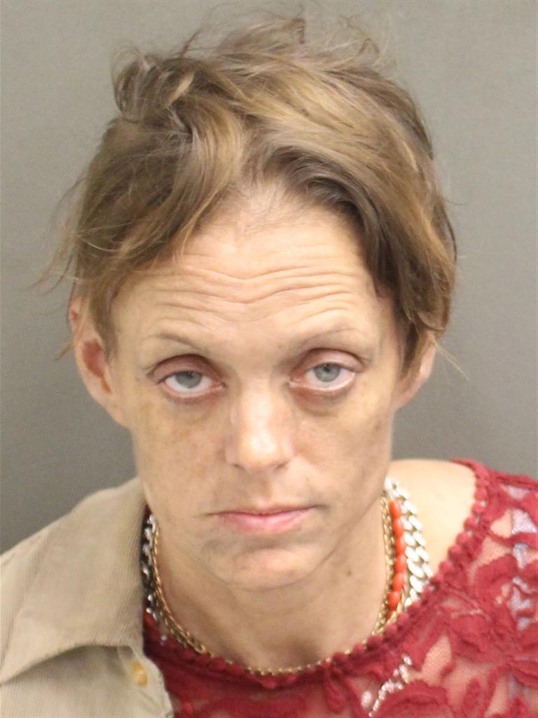  CAROL ELAINE RHODES Mugshot / County Arrests / Orange County Arrests