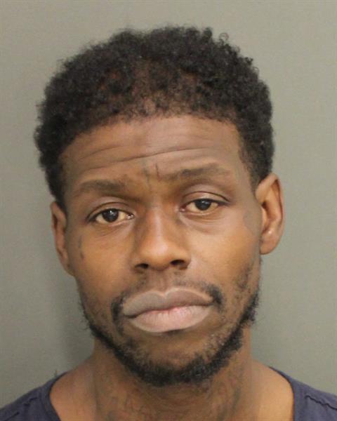  LOUIS CAMERON HINES Mugshot / County Arrests / Orange County Arrests