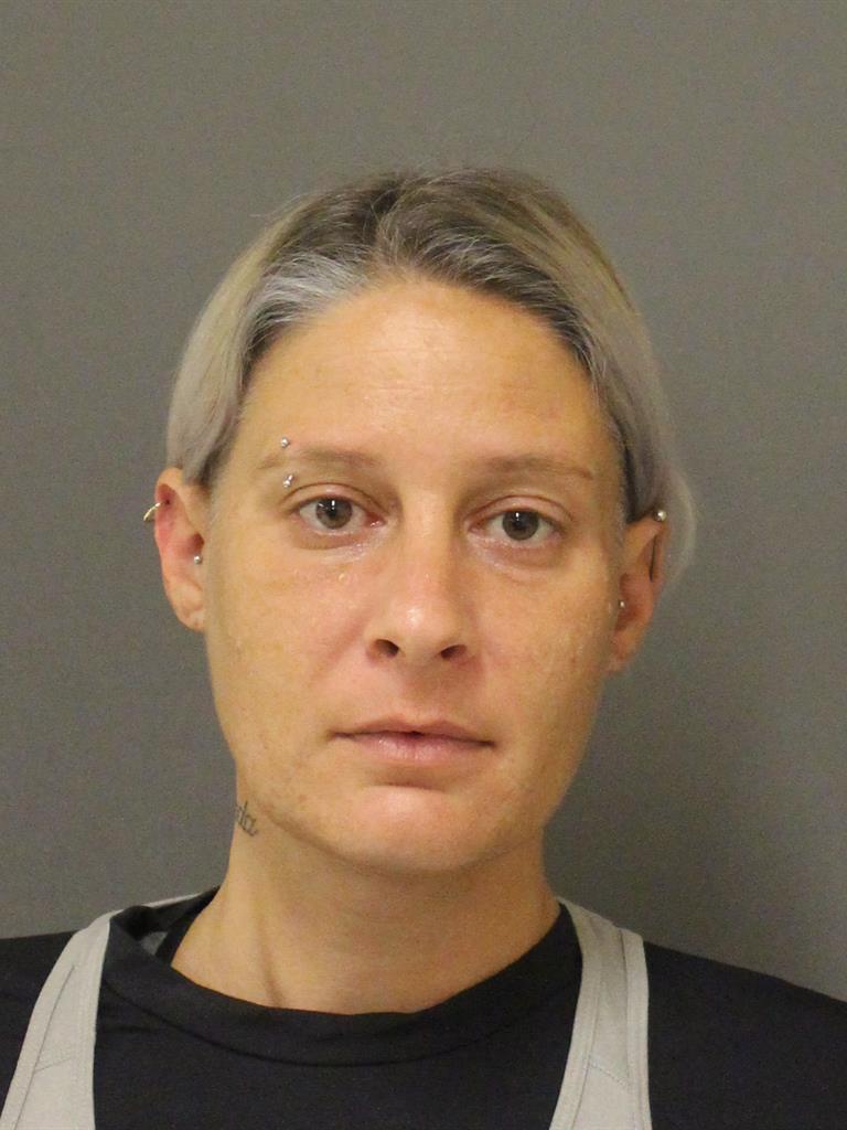  LAURA ELIZABETH SKOLODA Mugshot / County Arrests / Orange County Arrests