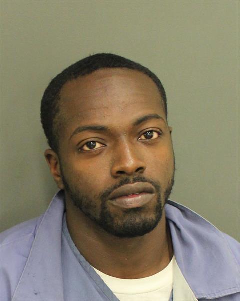  RICKY VIGERONI JR HARLEY Photo Image