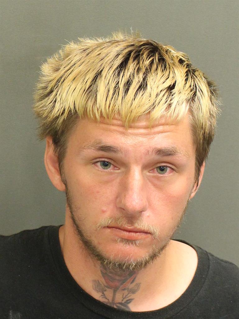  DONALD JAMES  II AYERS Mugshot / County Arrests / Orange County Arrests