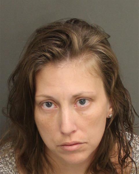  SARAH FAYE HAMILTON Mugshot / County Arrests / Orange County Arrests