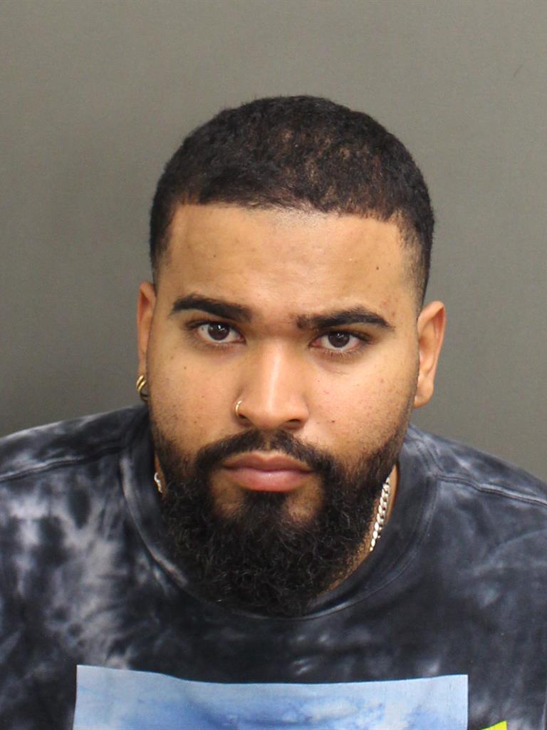  JUNIOR RANSEL REYES Mugshot / County Arrests / Orange County Arrests