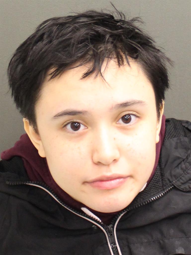  AUTUMN RAIN DETTMER Photo Image