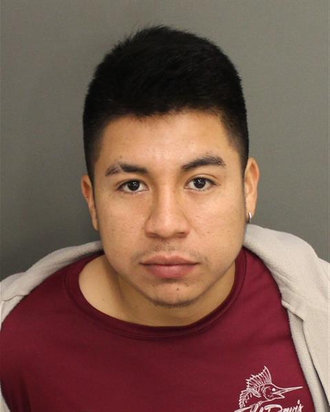  LEONEL CESAREOESTEBEN Mugshot / County Arrests / Orange County Arrests
