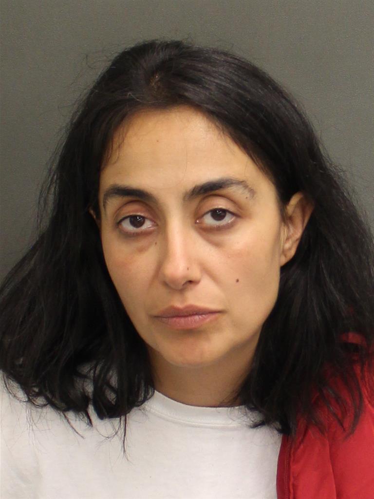  SILVIA ILAS Mugshot / County Arrests / Orange County Arrests