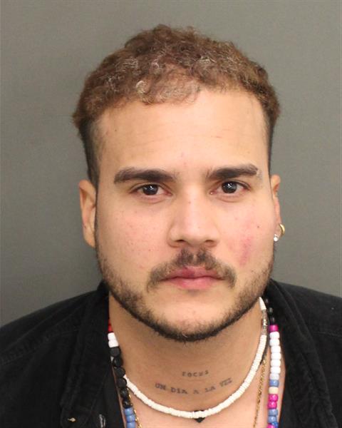  LUIS MIGUEL ROCCAVILLALOBOS Photo Image