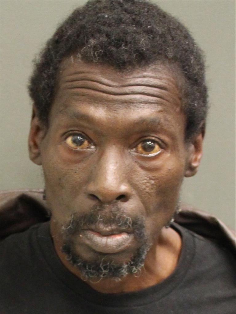  HAROLD G HAYES Mugshot / County Arrests / Orange County Arrests